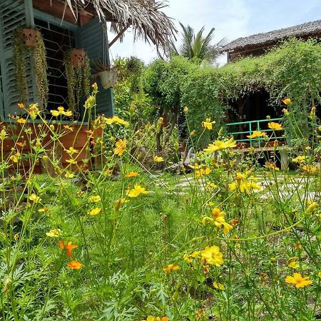 Bach Cuc Homestay 隆海 外观 照片
