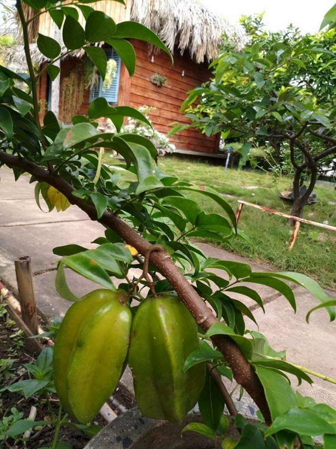 Bach Cuc Homestay 隆海 外观 照片