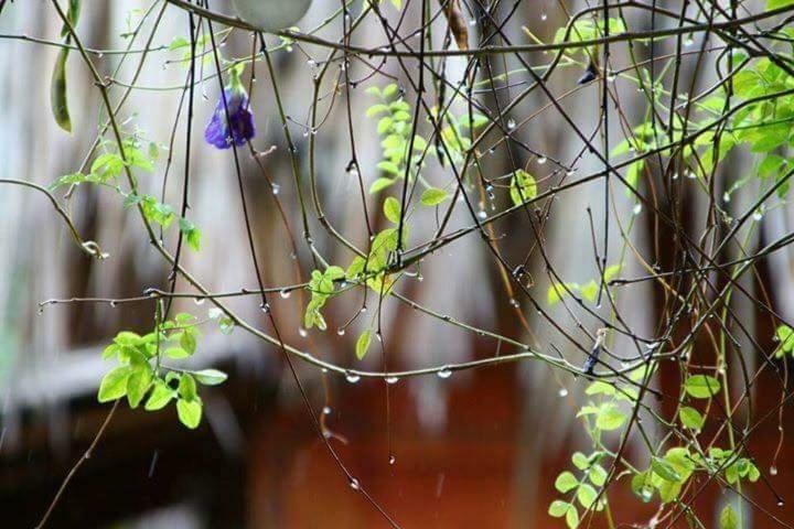 Bach Cuc Homestay 隆海 外观 照片