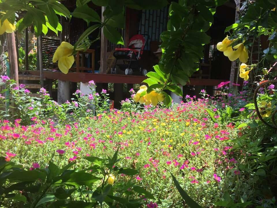 Bach Cuc Homestay 隆海 外观 照片